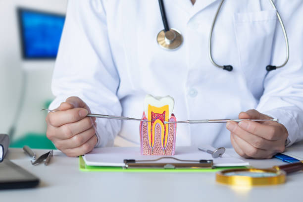 Best Urgent Dental Care for Toothache in Kenwood, OH